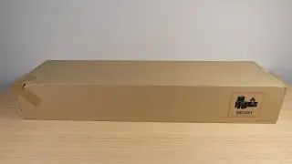 Dyson V15 Detect Unboxing NO TALKING