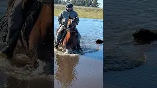 El campo con mucha agua #campo #vidacampestre