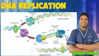 DNA replication explained in a simple way by Faruque Ansari (FA Sir) @DrErAspirants