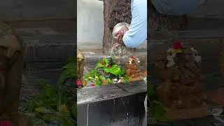 The Sacred Connection Between Lord Shiva and Bilva Leaves