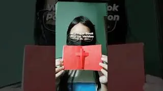 Wordless Book | Pop-Up