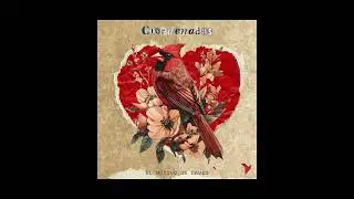 EL MOTIVO DE DAVID · COORDENADAS (full album)