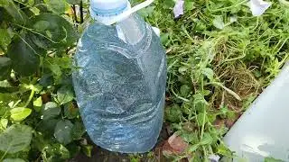 Răspundem la &icirc;ntrebările voastre!! mulțumim #gradina #case ##fypシ゚viral #fy##viralvideo