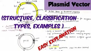 Plasmid Vector ( structure, features, classification, Examples )#notes #biotechnology