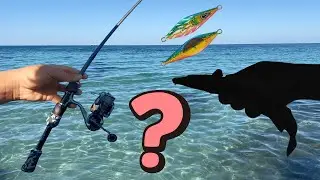 Micro Jigging Perth! What Do I Catch?