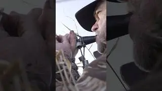 Sweet Symphony #hunting #aves #waterfowl #duckhunting