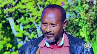 Dairy development in Ethiopia documentary