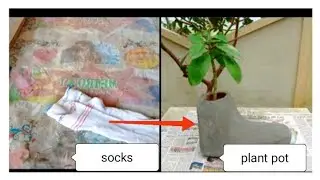 socks creative idea | make socks plant pot | socks and cement