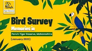 Bird Survey Memories in Pench Tiger Reserve Maharashtra