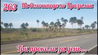 Три прокола за день. На велосипеде по Южной Америке День 263 Бразилия