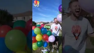 How many Balloons does it take to make Kermit the Frog fly? 🤔