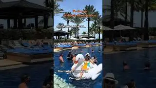 The adult-only Cove pool at Atlantis Resort, Bahamas #atlantisbahamas #atlantis