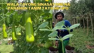 TULOY TULOY ANG ATING TANIM UPO NAMAN TAYO SABAYAN NATIN ANG GANDA NG PANAHON
