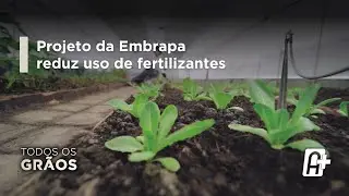 Projeto da Embrapa reduz uso de fertilizantes: pesquisadora recebe pr&ecirc;mio pelo trabalho