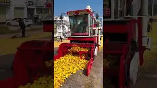 #corn #cornthresher #cornsheller #maize #agriculture #farmmachinery #farming #loader #harvest