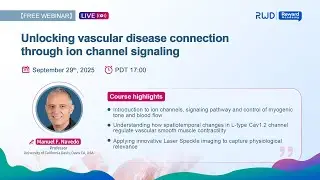 [Webinar Replay]  Unlocking vascular disease connection through ion channel signaling