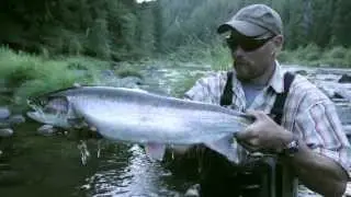 Fly Fishing Small Stream Steelhead - Red Truck Fly Rod - Fly Fish California
