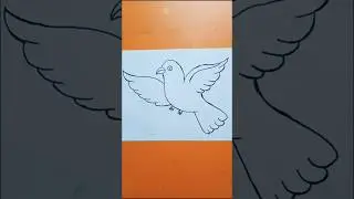 How o draw Birds drawing/Pigeon 🐦 drawing#easybirds #birds#drawing#shorts #youtubeshorts#viral