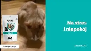 Aptus Relax na stres i niepok&oacute;j