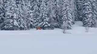 winter camping with jack solo Trillium lake 2021ish snow plow