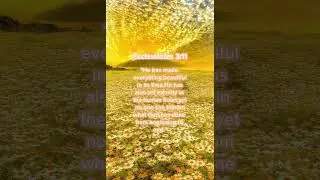 ✝️ #biblevideo #edits #godlyinspiration