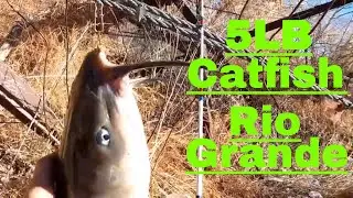 Catfish And Carp Catch On Rio Grande(5lb Catfish Caught At End)New Mexico Fishing