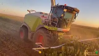 Froese Brothers Silage 2021