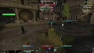 Rand des Wahnsinns Hard Mode (vSE HM) - Last Try - DD (Raidlead)
