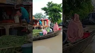 Bihar Flood 2025 #biharflood2025 #shortsfeed #viralvideos #viralshort #riverflooding #biharriver