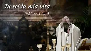 Tu sei la mia vita 주님은 나의 생명 (In ricordo di Papa Francesco 프란치스코 교황님을 기억하며)
