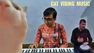 Piano Cover- Cat Vibing To Levan Polkka | Cat Vibing to Music | Cat Vibing Meme