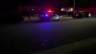 Copwatch: Very Professional Deputy