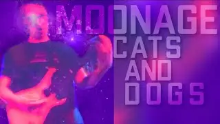 Andy Benes - Moonage Cats and Dogs