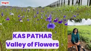 Kas Pathar/Satara/Valley of flowers/ Boating Bamnoli Village/Step Well in Limb/Kshetra Mahuli Temple