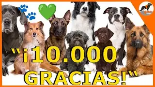 &ldquo;&iexcl;10.000 GRACIAS! 🐾💚&rdquo;