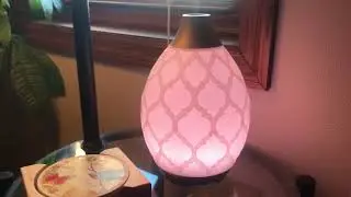Desert Mist Diffuser from Young Living is amazing and it changes colors!