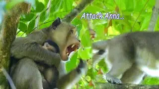 Aron Want To Bit Anna Cause She Want Help Return Baby Anissa Back | Pity Poor Baby Anissa Life
