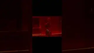 Ex Machina