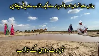 Desert Cholistan ke talab  Jahan se insan aur janwar parinde ek talab se pani peete Hain