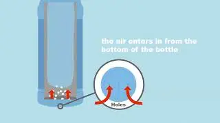 Trigger Spray Bag In Bottle Dispensing System