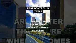 Pest Control in Texas Facts #youtubeshorts