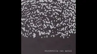 Birchville Cat Motel - Siberian Earth Curve (FULL CD ALBUM - 1998 - Drunken Fish Records)