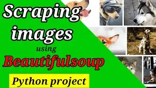 Сбор изображений с помощью BeautifulSoup и Requests | Поисковый робот изображений на Python | Проекты Python