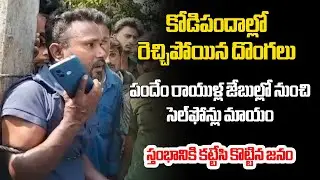 Mobile Phone Thief Caught at Vissannapeta Cockfights During Sankranti Celebrations