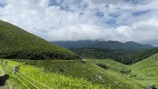 Akiyoshidai/one of the largest karst plateaus in Japan/ the central and eastern part of Mine City
