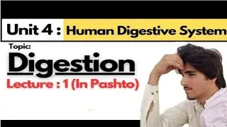 Digestive system ki Mukamal Tafsel.                        Digestive system kia Hain ? In pashto...!