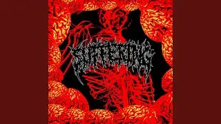YOU SHOULD SHOOT YOURSELF IN THE FUCKING FACE (feat. Volcano)
