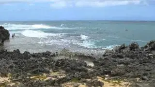 Between the sea and the sky - Lawaiʻa