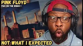 PINK FLOYD BLEW MY MIND 🤯 | PIGS ON THE WING (PART 1) FIRST TIME REACTION 🐖🎸