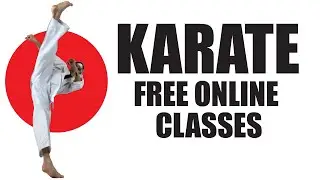 Free Online Karate Classes